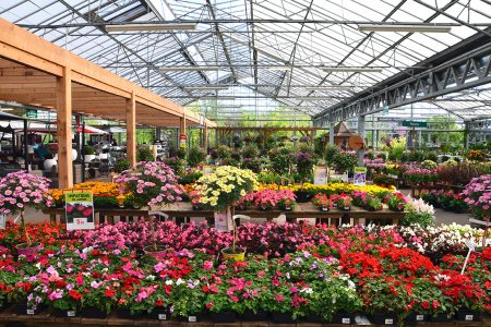 Pépinières Botanic